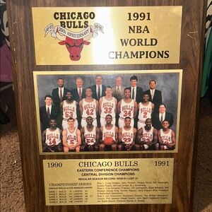 Chicago Bulls 1991 NBA World Champions Gold Plaque Wall Art